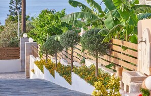 A paved pathway, a wooden fence, and a white wall with yellow flowers.