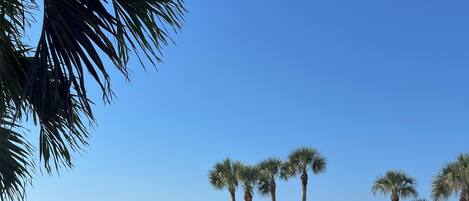 Una piscina al aire libre, una piscina climatizada