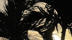 A sunset view with palm trees silhouetted against the sky.