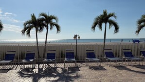 A beachside lounge area with sun loungers and palm trees, overlooking the ocean.