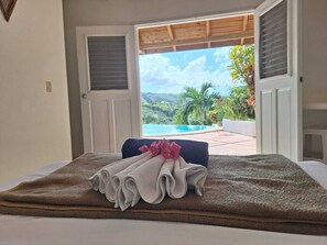 3 bedrooms, iron/ironing board, travel cot, free WiFi - Mariquita exceptional sea and lomas view - private pool - 5 mn beach (Las Terrenas)