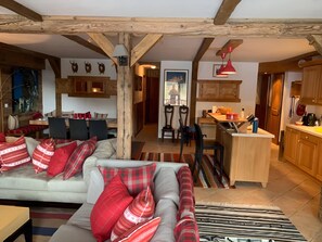 Télévision, cheminée, lecteur de DVD, livres