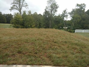 Property grounds - New upscale vacation rental home with all available amenities (Knoxville)