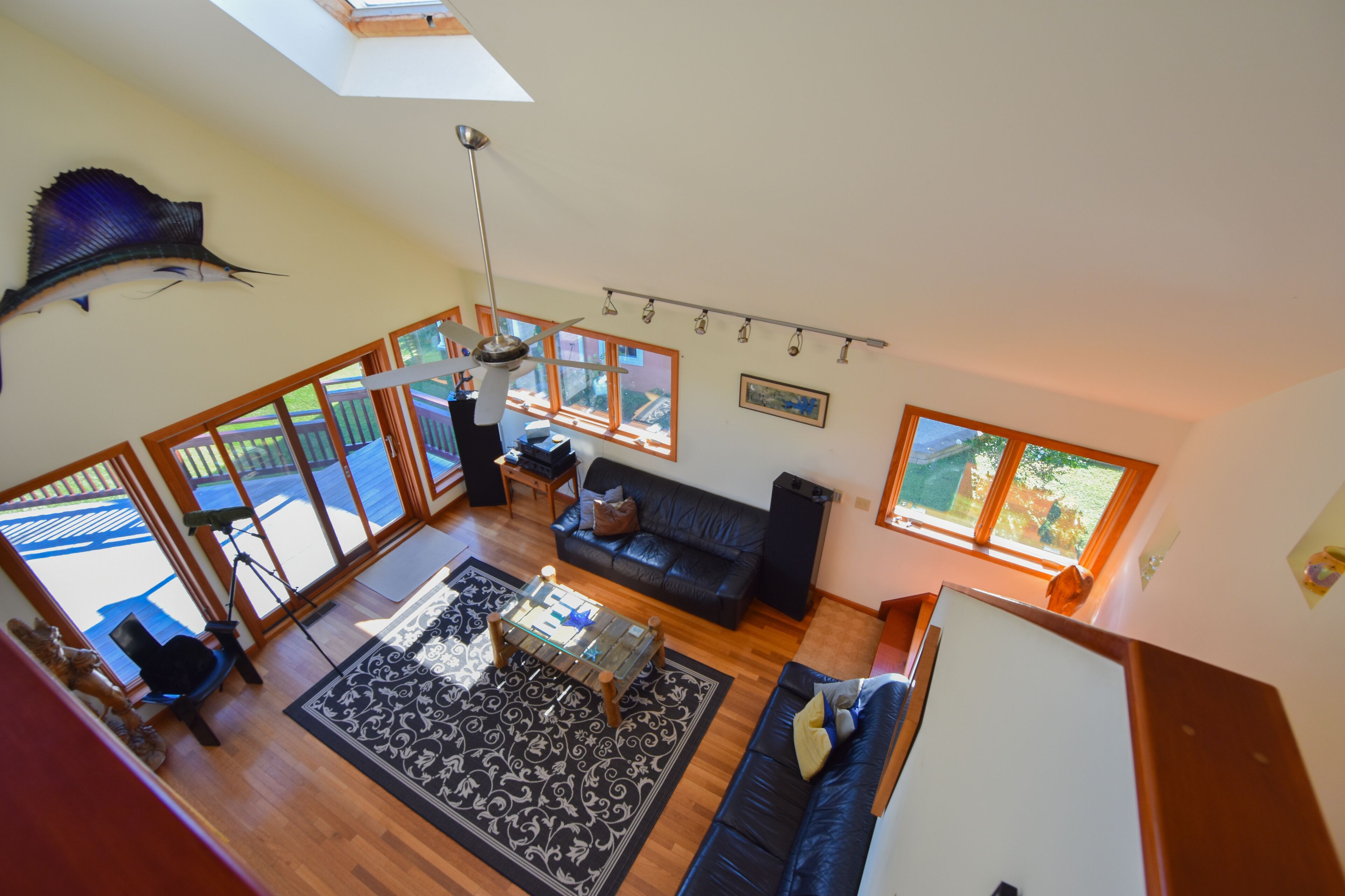 TV connectée, lecteur de DVD, livres, médiathèque