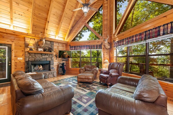 Smart TV, fireplace, foosball, video library