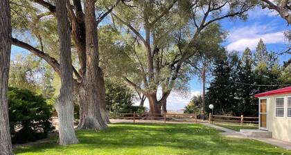 Ruhiges, ländliches Bauernhaus auf bewirtschaftetem Bauernhof