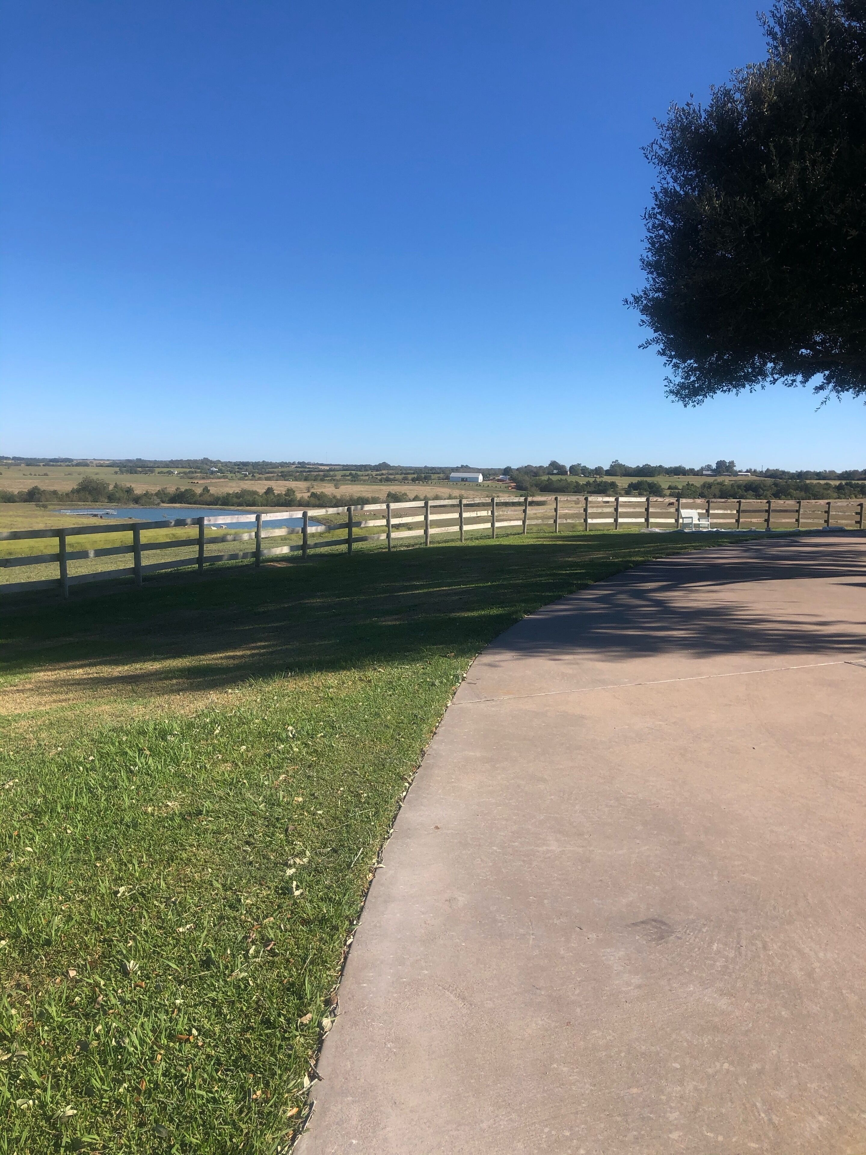 A paved pathway alongside a grassy area with a wooden fence and a clear blue sky.