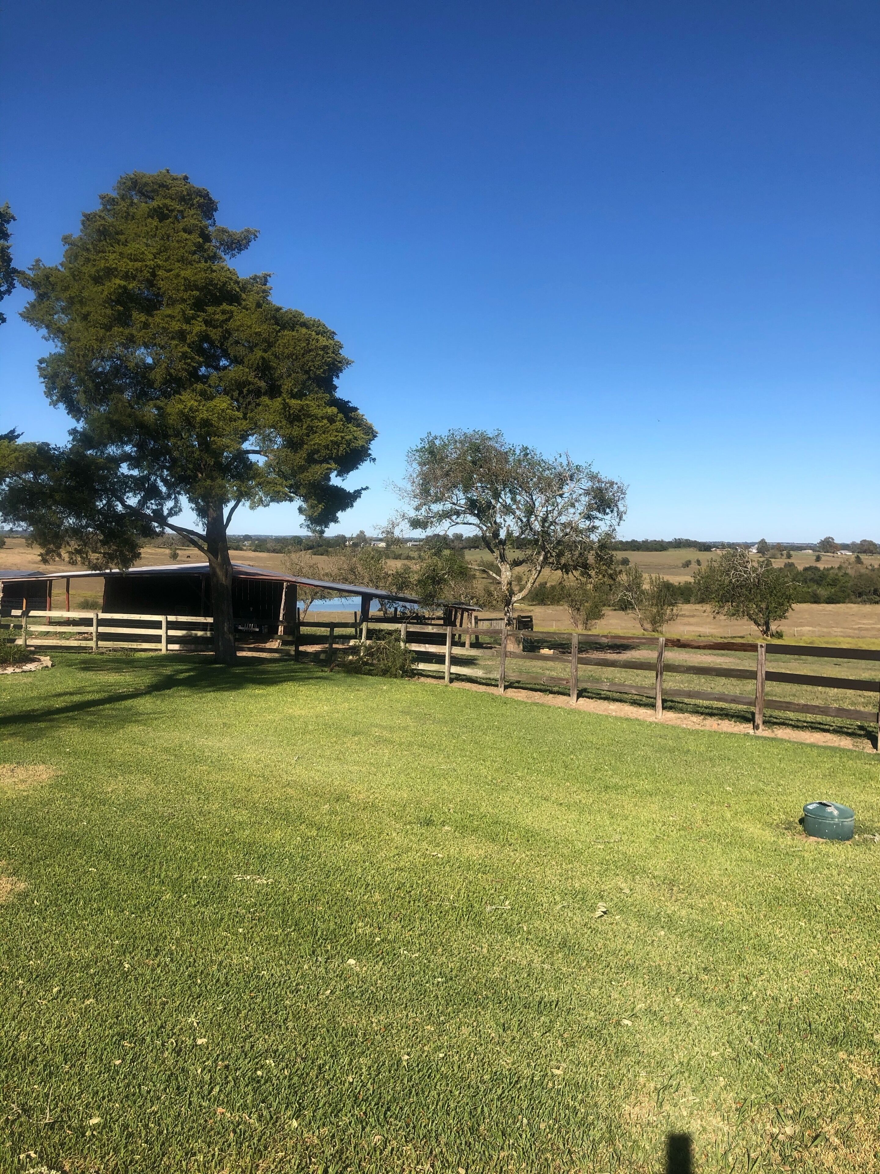 A grassy field with a wooden fence, a large tree, and a barn in the background.