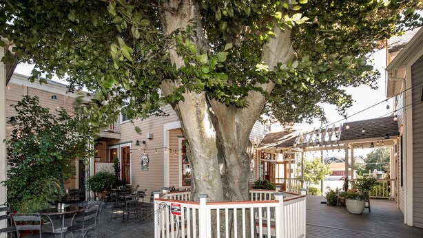An outdoor patio area with tables and chairs, a large tree, and a white fence. - La Conner, Tillinghast Residence A #400 (La Conner)