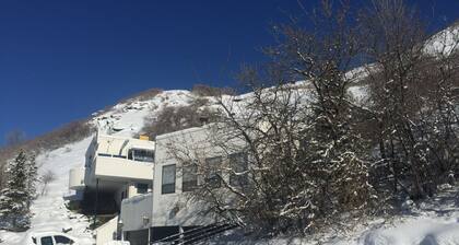 Private High East Bench Private Touring Bike Ski Touring Snow Pools Powder Mountain