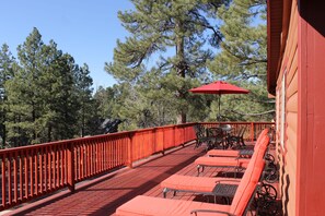 Property grounds - Relaxing Log Cabin Retreat in the Pines (Munds Park)