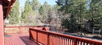 Relaxing Log Cabin Retreat in the Pines