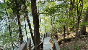 A wooden staircase leading to a higher elevation in a forested area.