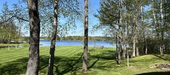 Chaîne de goélands privée mais au milieu de l'action