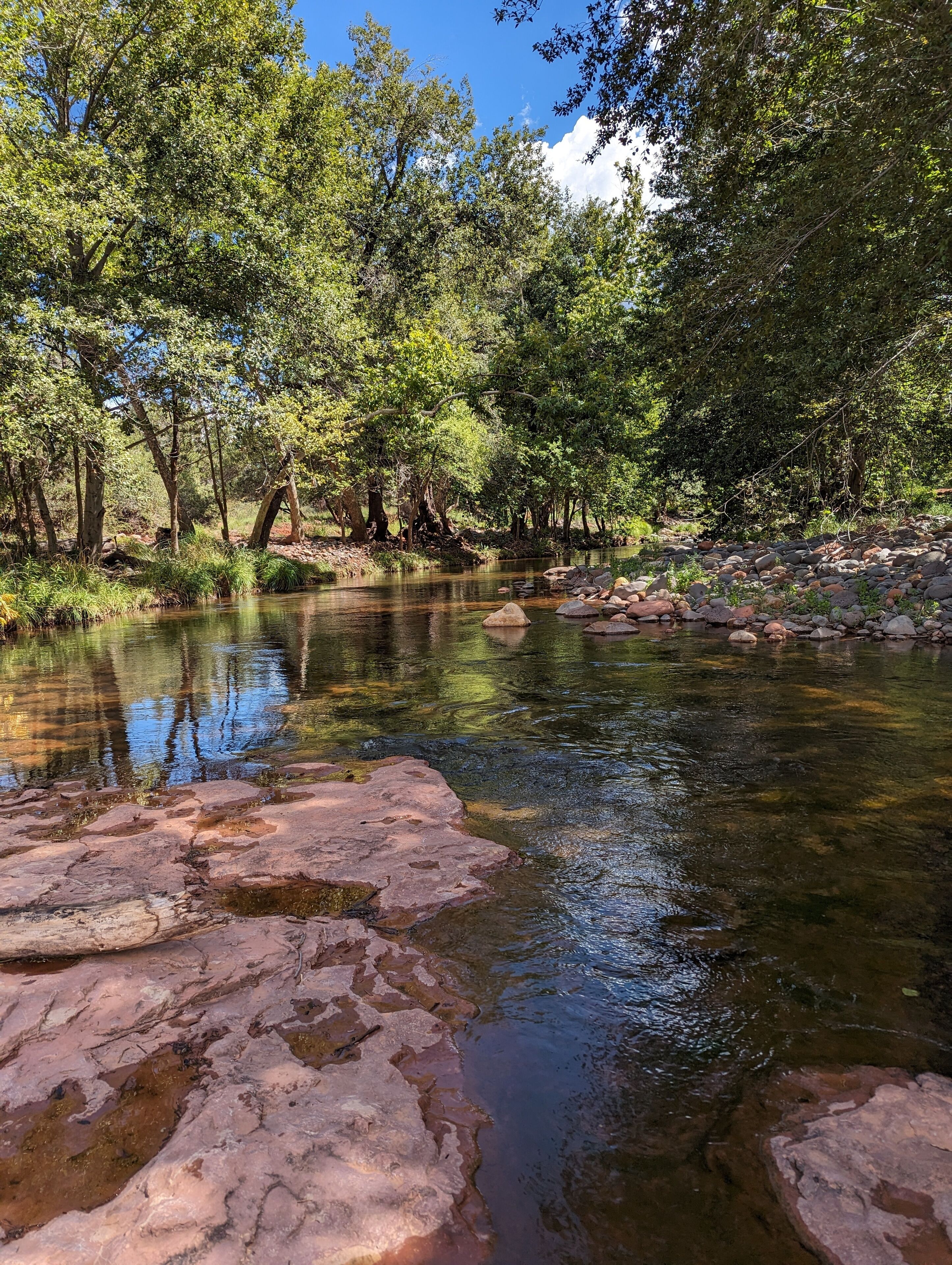 A river with clear water, surrounded by trees and rocks.