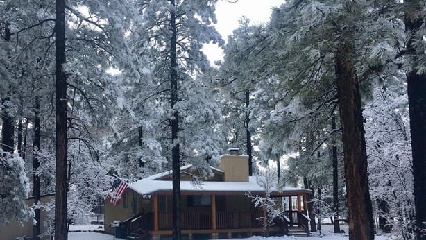 Una cabaña rodeada de árboles cubiertos de nieve.