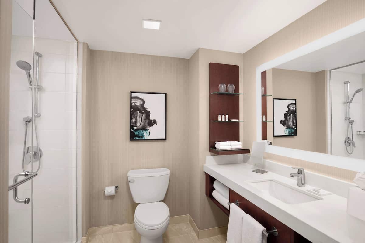 combined shower/bathtub, free toiletries, hair dryer, towels