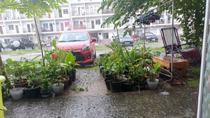 A residential area with potted plants, a red car, and a wooden bench. - Angel Travellers Transit House (Parañaque)