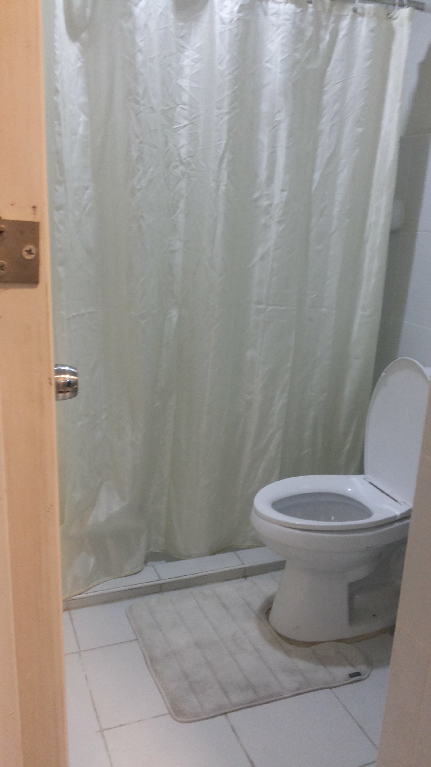 A bathroom with a toilet, a shower curtain, and a mat.