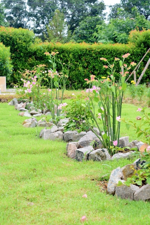 Property grounds - Khowbuysi View Resort (Tha Mai)