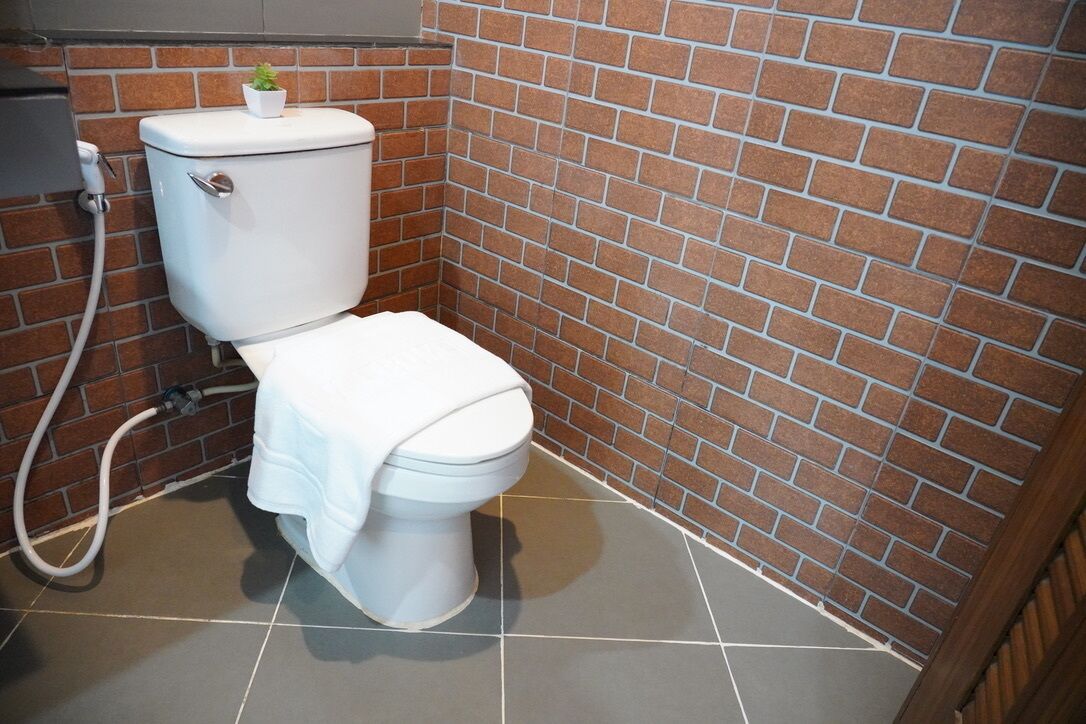 Een kleine, praktische badkamer met toilet, een kleine potplant op de tank en een betegelde vloer.