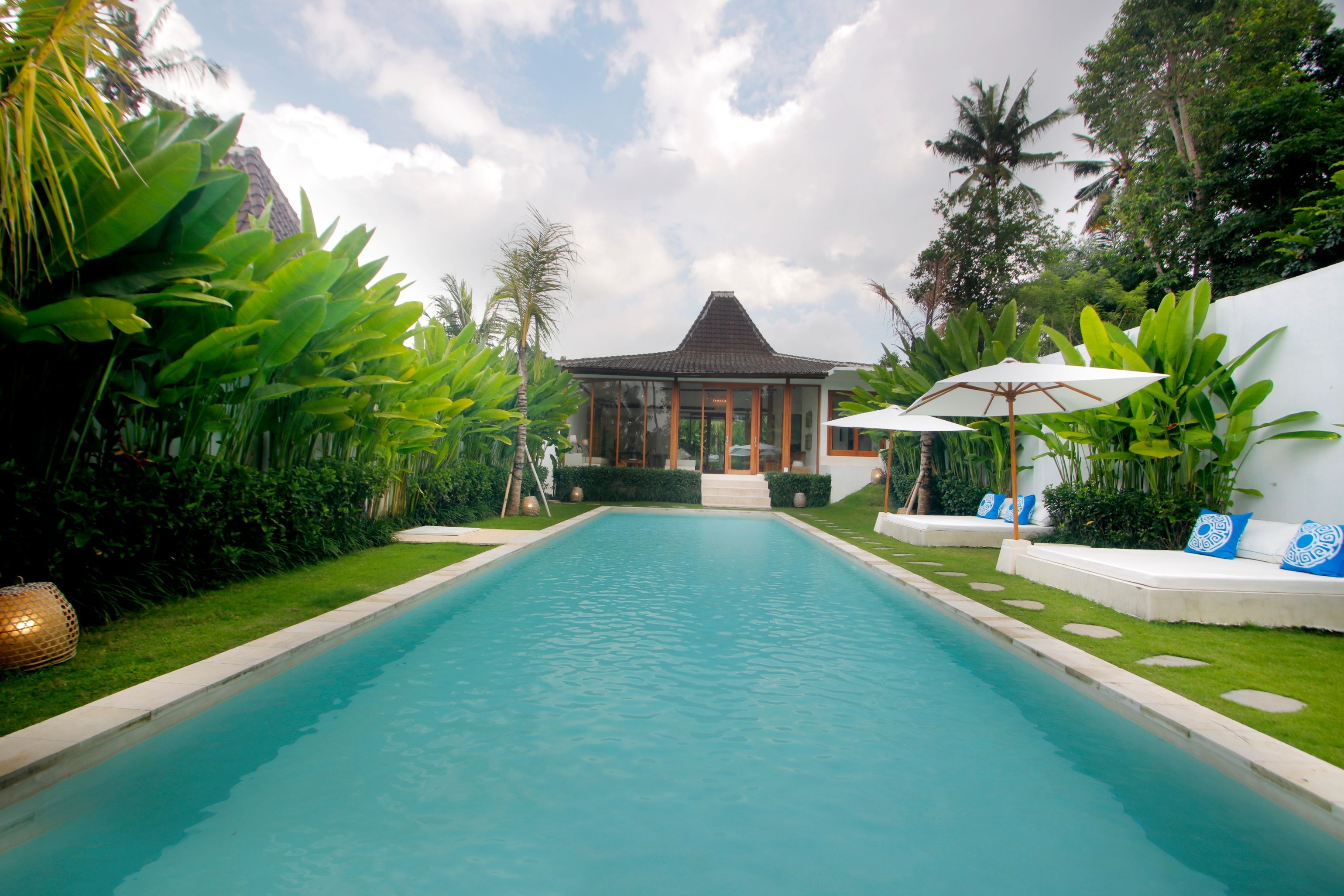 A swimming pool with a building in the background, surrounded by greenery.