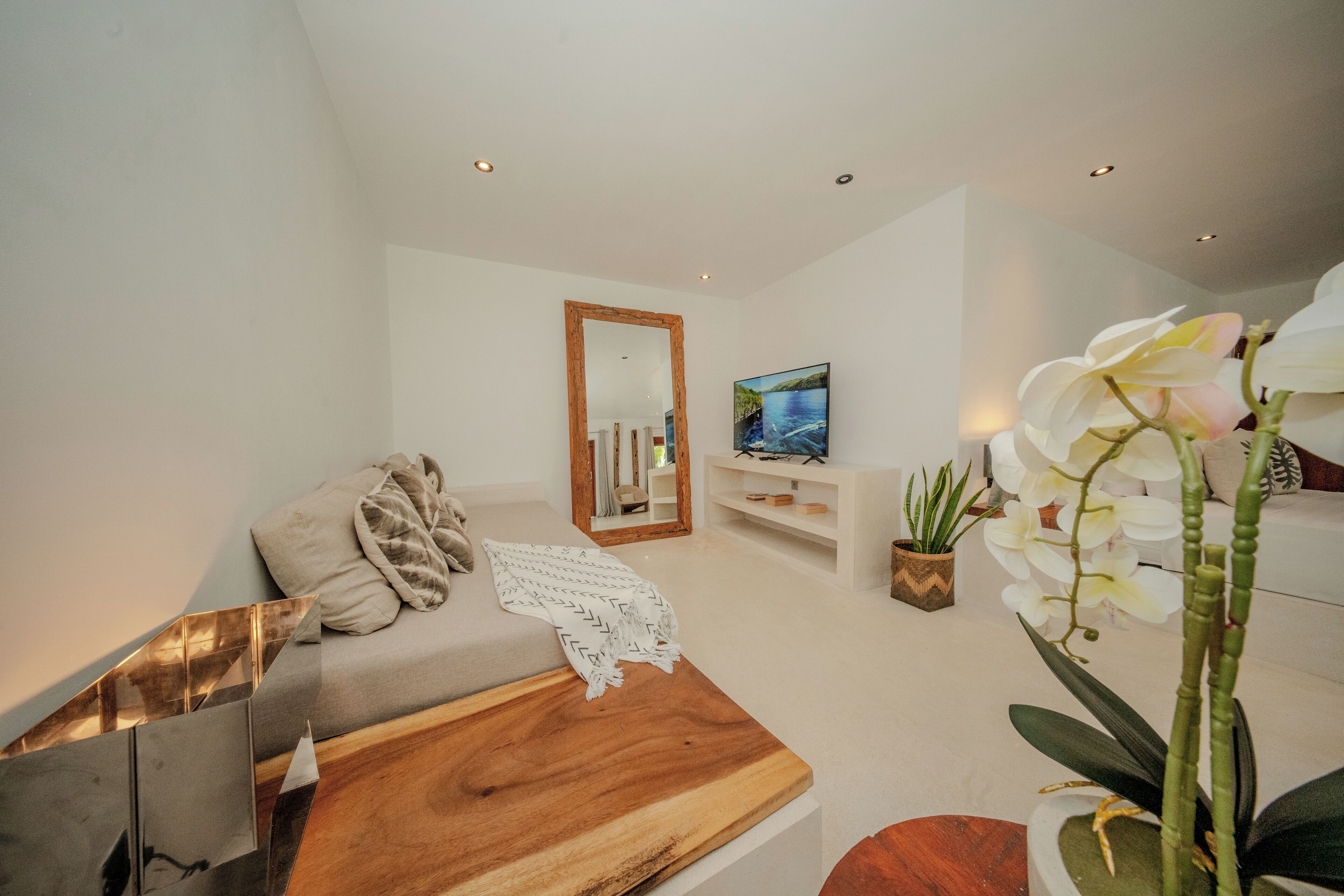 A modern living room with a sofa, wooden coffee table, and decorative plants.