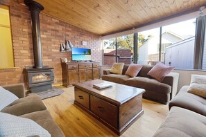 TV, fireplace, DVD player, books