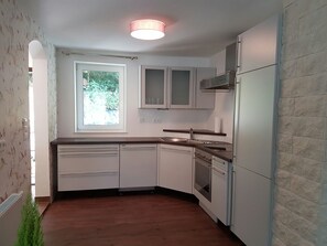 Apartment, 1 Queen Bed with Sofa bed, Non Smoking | Private kitchen