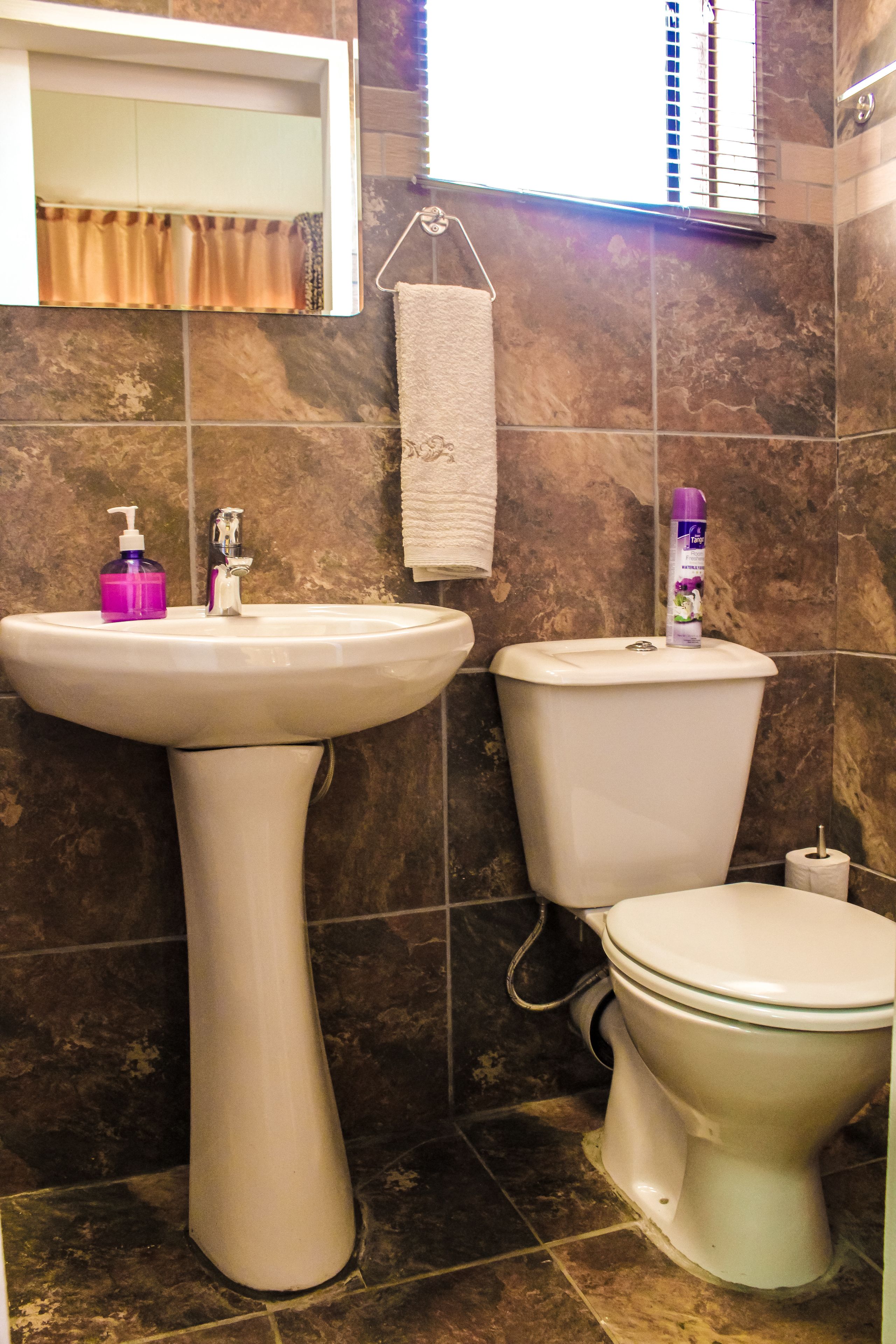 A bathroom with a pedestal sink, toilet, and a mirror above the sink.