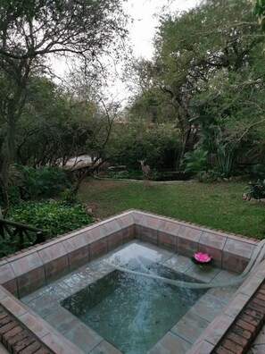 A hot tub surrounded by lush greenery and a deer in the background. - HomeBase Kruger - Hostel (Nkomazi)