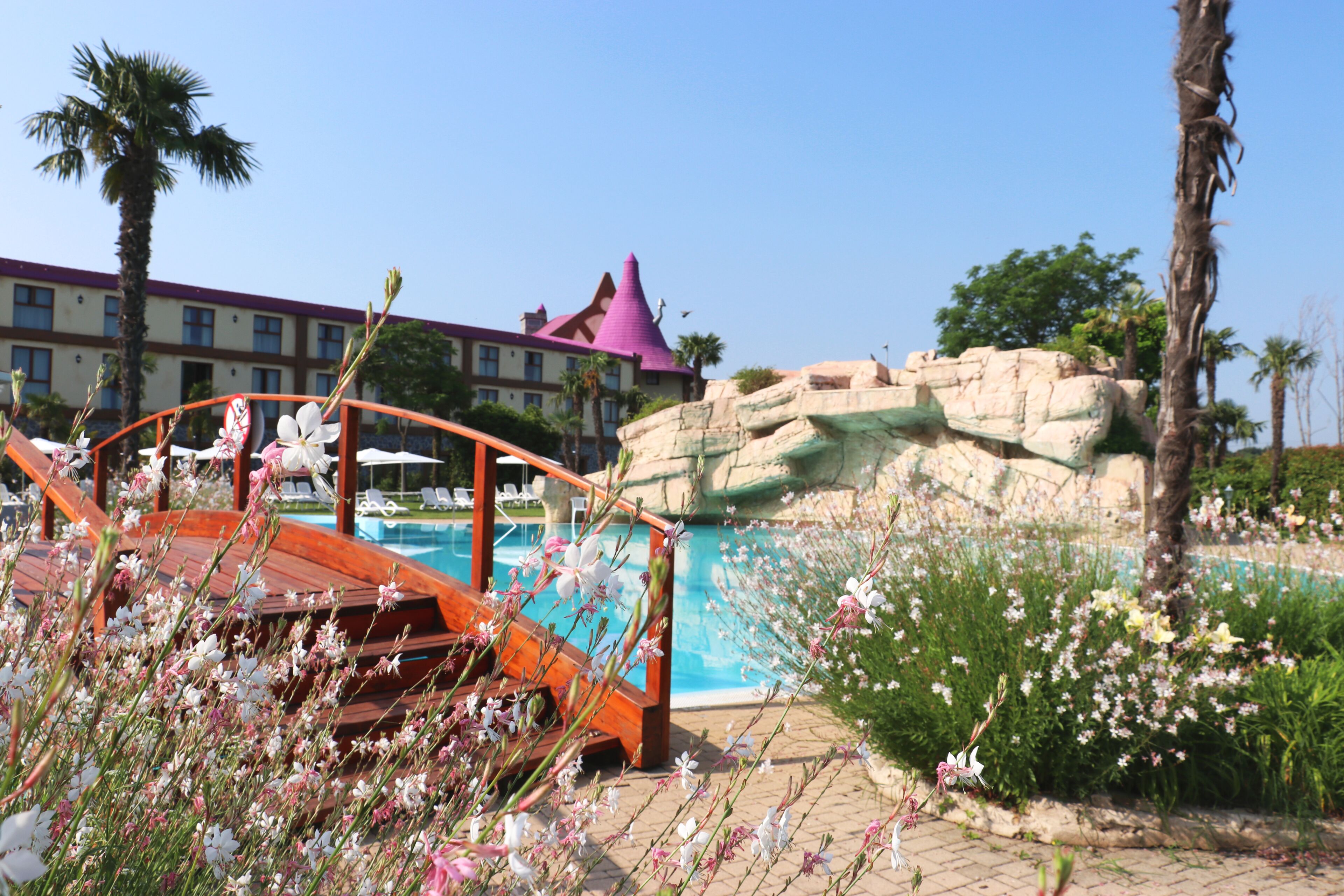 Area piscina con un ponte in legno, una formazione rocciosa e un edificio con tetto rosa sullo sfondo.