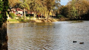 Lago