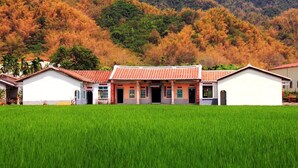 Front of property - Yellow and Black Guesthouse (Kaohsiung)