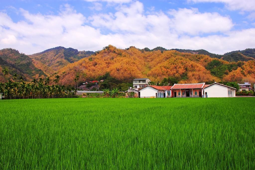 Yellow and Black Guesthouse評價、黑膠三合院體驗、手作早餐與溫馨服務 – 美濃鄉村風情 - 照片 9
