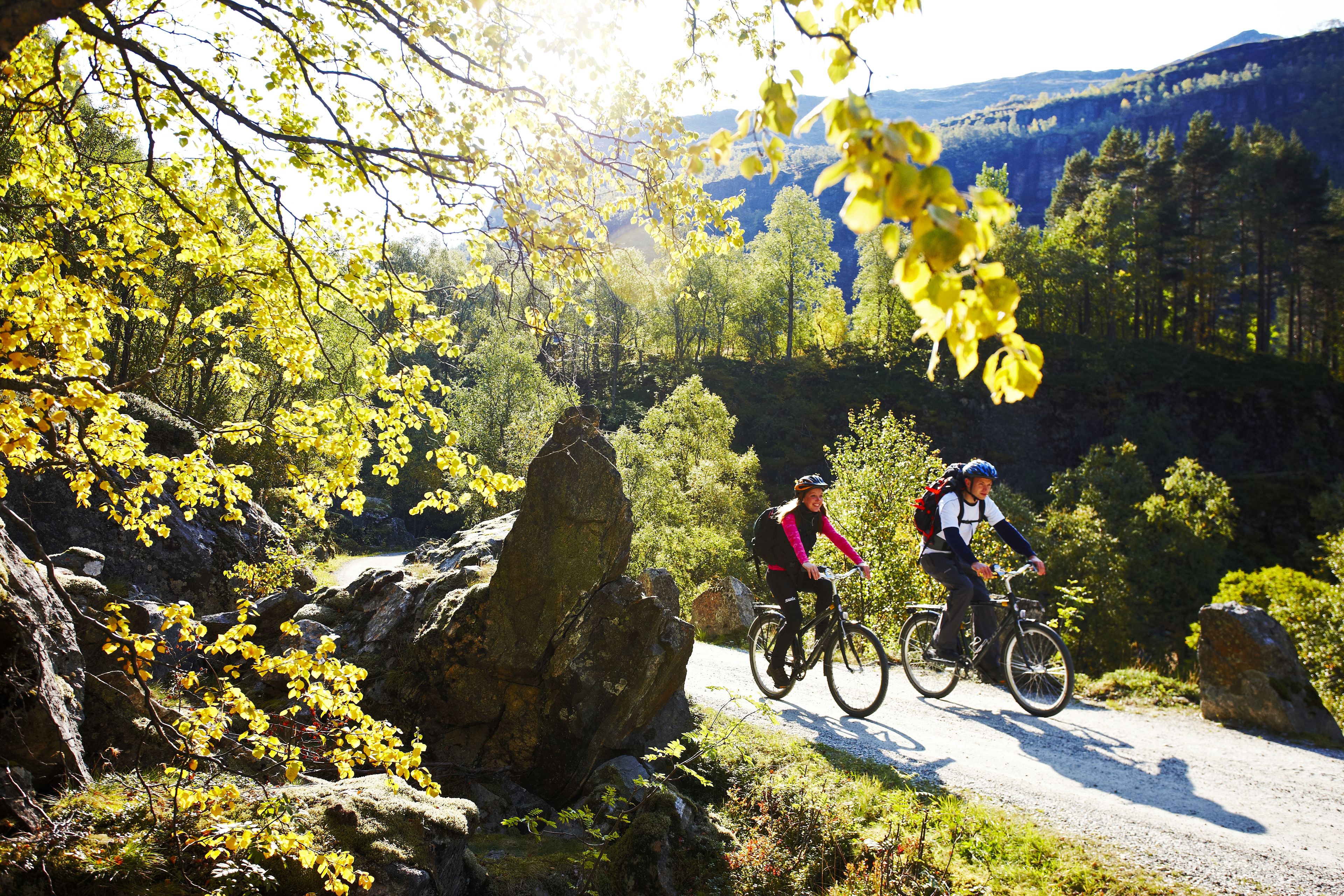 Sentiero per mountain bike con terreno roccioso e alberi.
