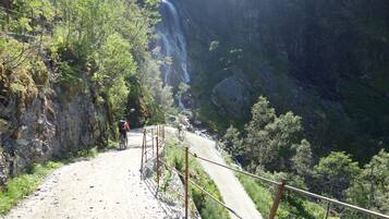 Uma trilha de terra com grades de metal, cercada por vegetação exuberante e uma cascata ao fundo.