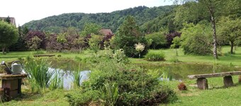 Au Pied des milles Étangs- LES CAPUCINS