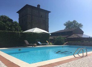 Outdoor pool, sun loungers