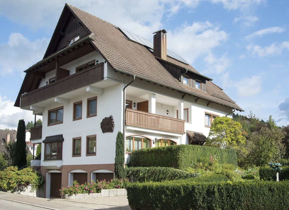 Hotel Schmieder’s Ochsen Seelbach image