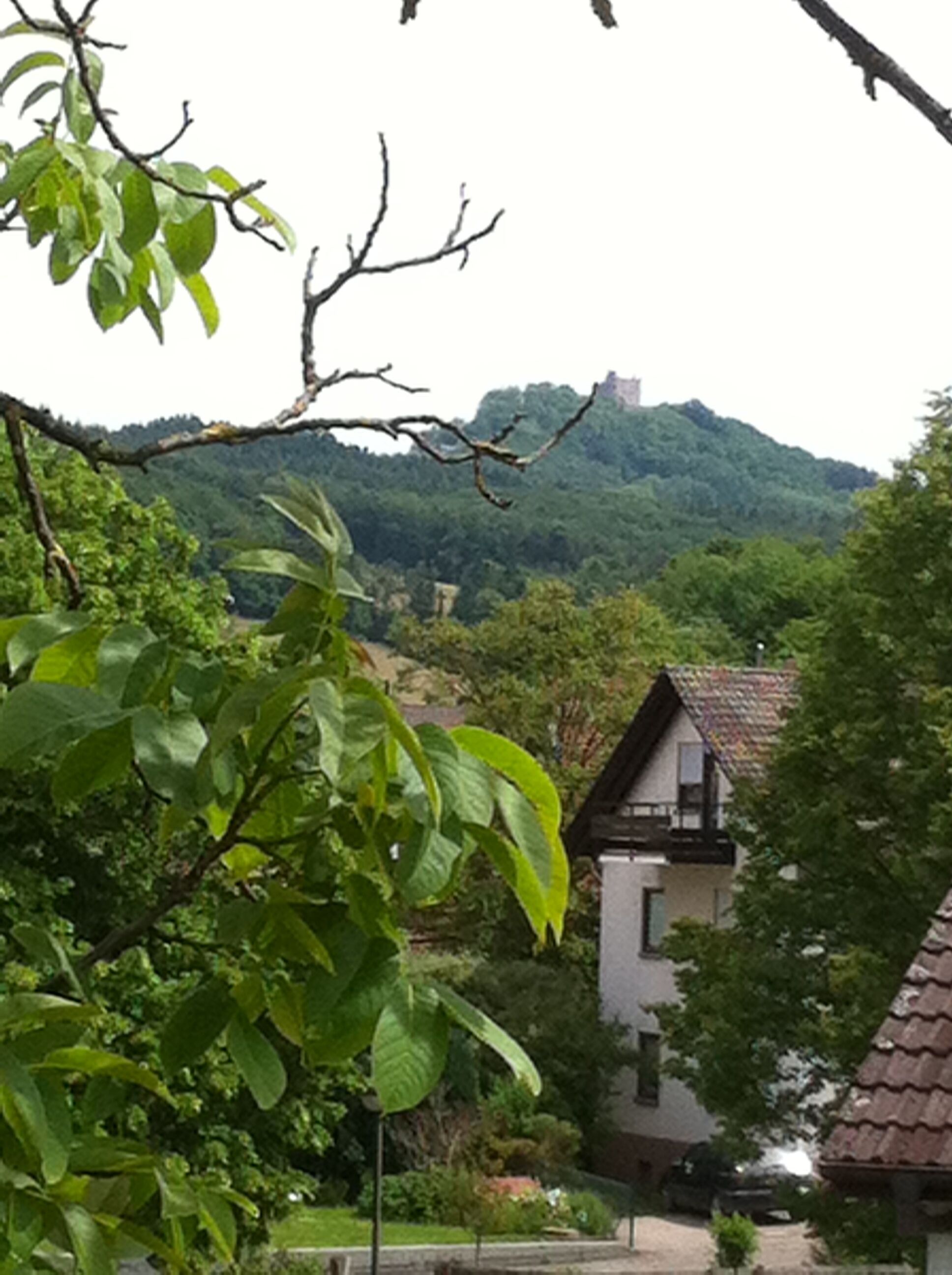 Double Room Single Use, Kitchenette (zur Einzelnutzung, Haupthaus) | View from room