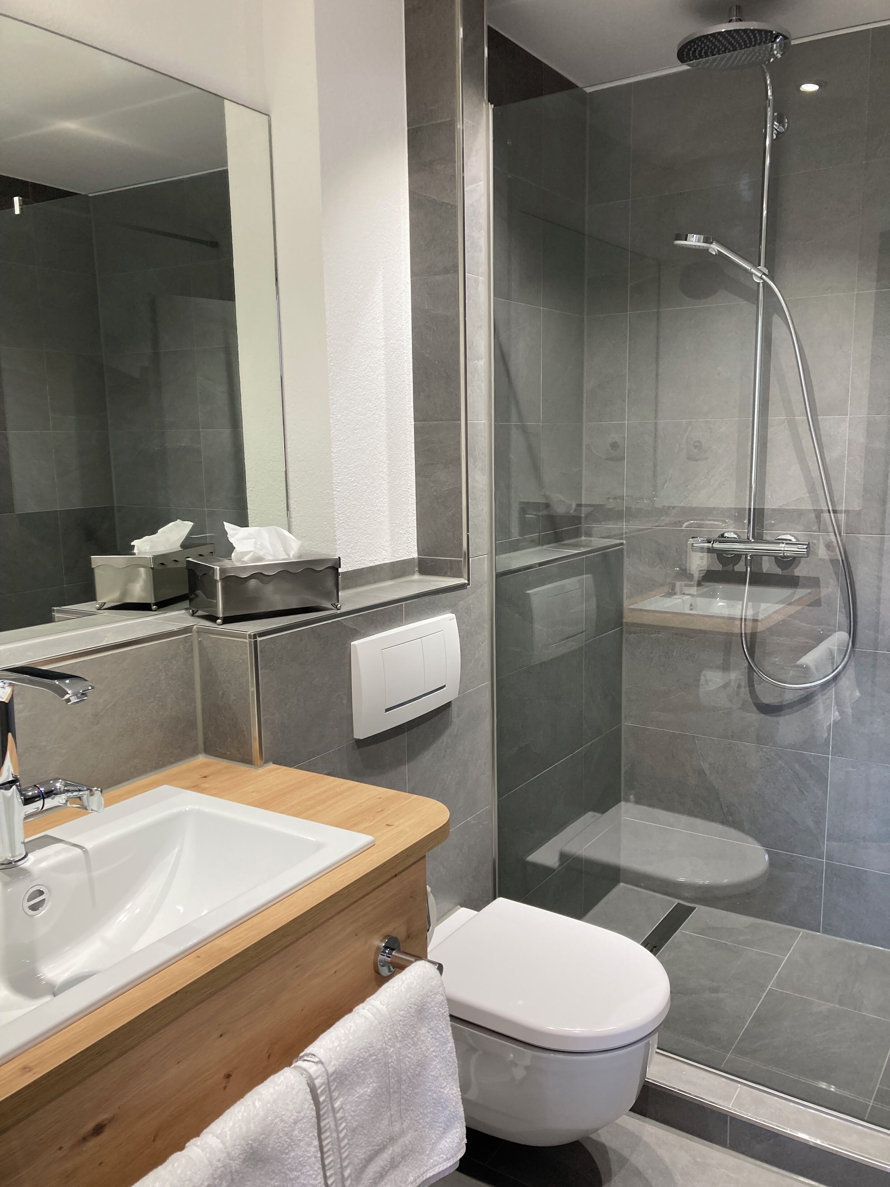apartment, kitchenette (haupthaus oder gästehaus) | bathroom | shower, free toiletries, hair dryer, towels