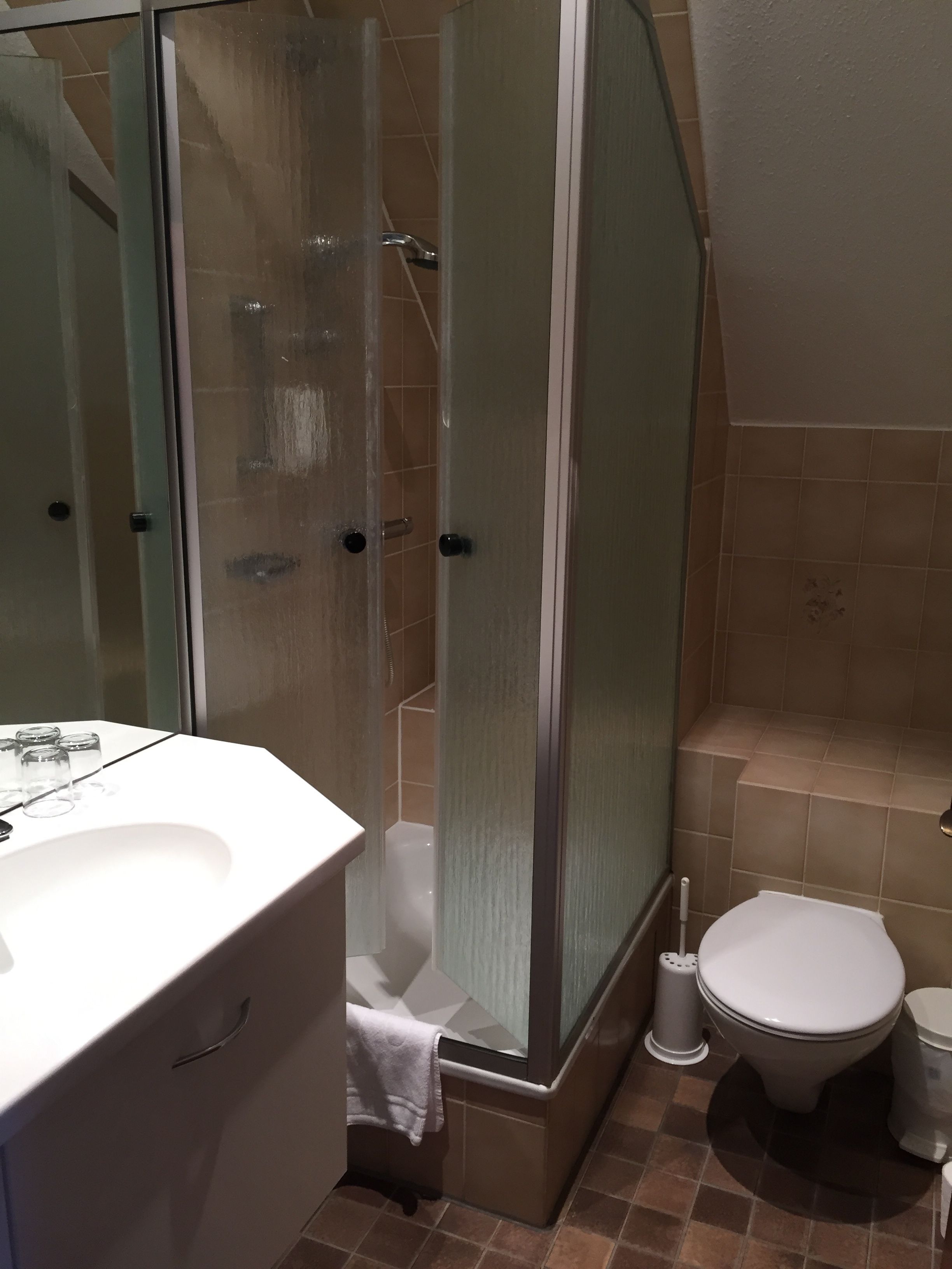 A bathroom with a glass-enclosed shower, a white sink, and a toilet.