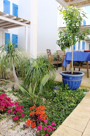 Jardín