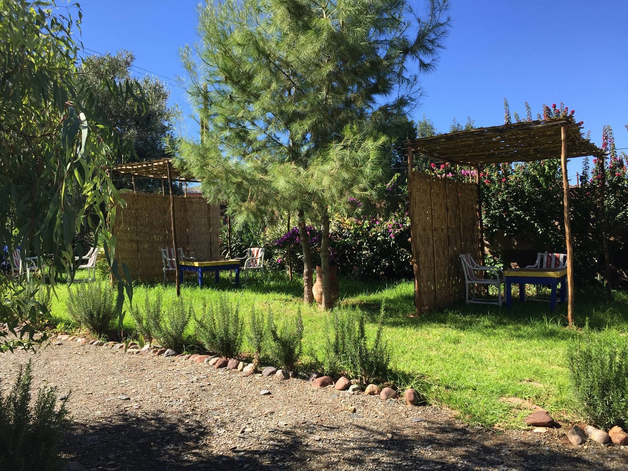 A garden with two wooden pergolas, a gravel path, and various plants.