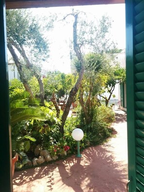 Vista desde la habitación