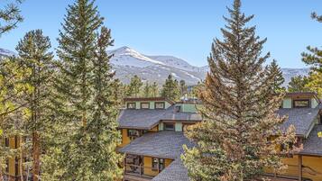 Condo, 2 phòng ngủ | Ngoại thất