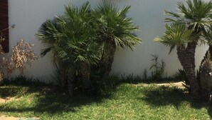 Un letrero que dice "The Border" con un logotipo circular, rodeado de palmeras y una pared blanca.
