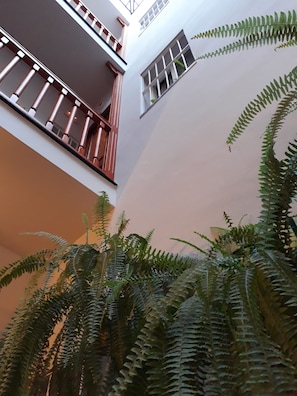 Interior - Pensión Doña Trinidad (Seville)