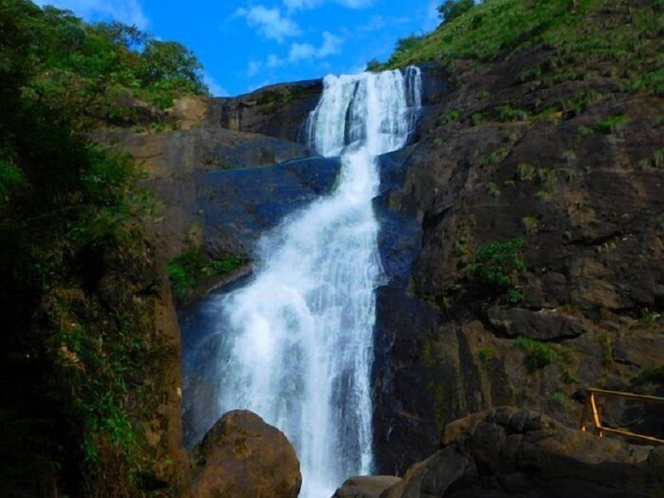 Una cascada se precipita por un acantilado rocoso rodeado de vegetación.